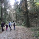 113_1477_JPG-1321728759