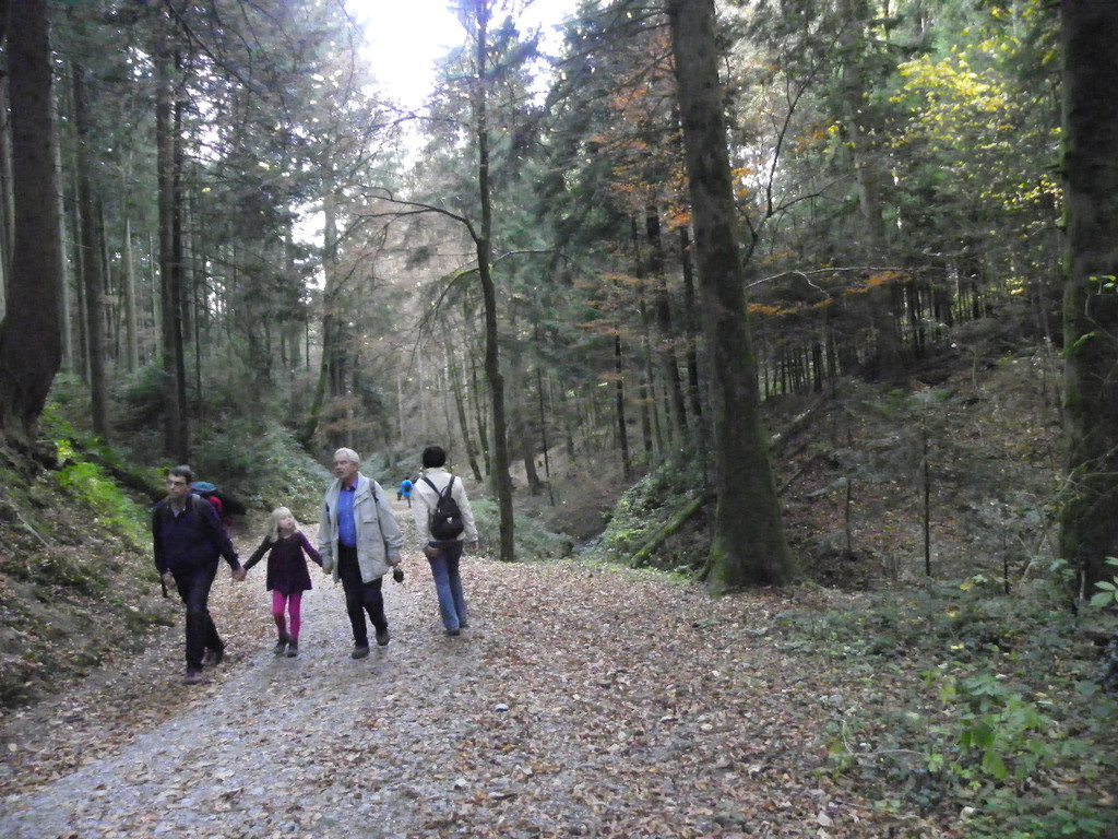 113_1477_JPG-1321728759