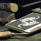 113_1927_JPG-1321730879