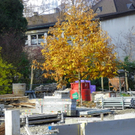 113_1247_JPG-1321744909