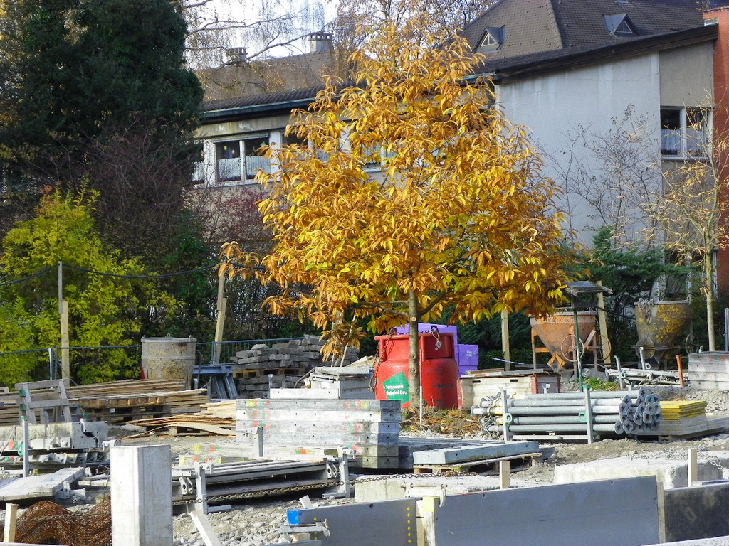 113_1247_JPG-1321744909