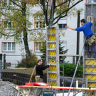 113_1546_JPG-1321744990