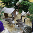 normal_19112011fmt_hellbrunn_ta_002.JPG