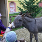 normal_19112011fmt_hellbrunn_ta_007.JPG
