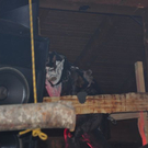 normal_19112011krampussmbaktivnews024.JPG