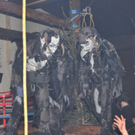 normal_19112011krampussmbaktivnews051.JPG