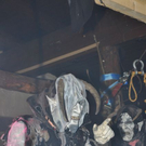 normal_19112011krampussmbaktivnews055.JPG