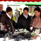 Weihnachtsmarkt Neuburg051.JPG
