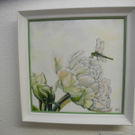 DSCN7900_JPG-1321795805