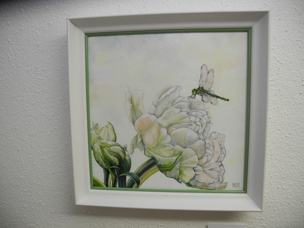 DSCN7900_JPG-1321795805