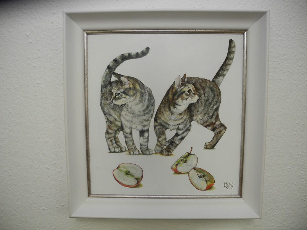 DSCN7901_JPG-1321795827