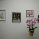 DSCN7919_JPG-1321795998