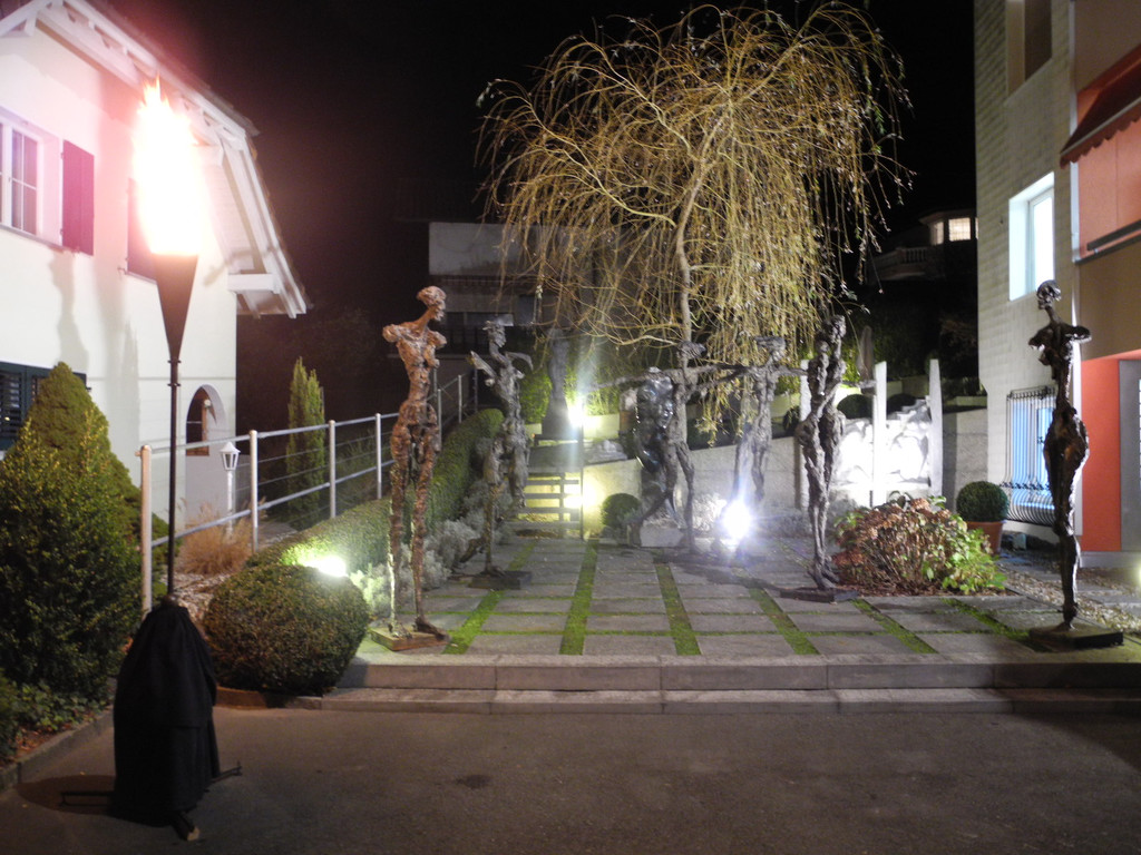 DSCN7890_JPG-1321795753