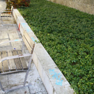 normal_20112011fmt_graffiti_mw_04.JPG