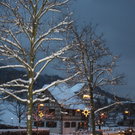Weihnacht Beleuchtung 2010 _13__jpg-1321828268