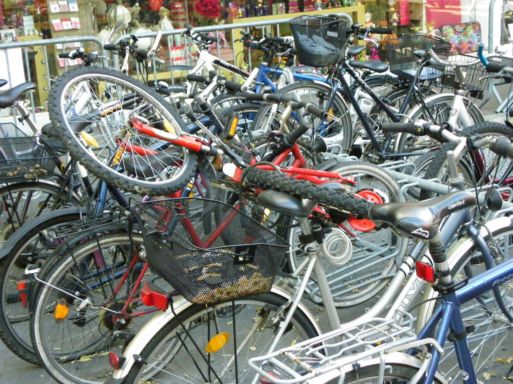 113_2096_JPG-1321828622