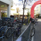 113_2097_JPG-1321828632