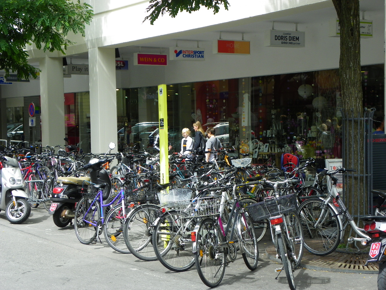 112_1756_JPG-1321828697