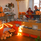 normal_20112011schloesseradventgmundenspaktivnews_020.JPG
