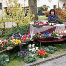 normal_20112011schloesseradventgmundenspaktivnews_031.JPG