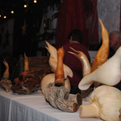 normal_201111adventmarktsfaktivnews013.JPG