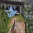 normal_201111adventmarktsfaktivnews018.JPG