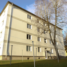 dst-48213.JPG