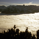 nebel_2_04_edited_jpg-1321872643