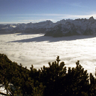 nebel_8_04_edited_jpg-1321872655