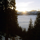 nebel_9_04_edited_jpg-1321872657