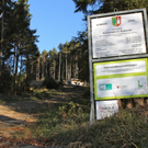 KOE_Hochbeh__lter Ecktannen 15_jpg-1321877967