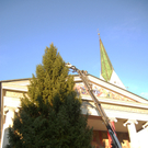 Christbaum November 2011 _c_ Dornbiner Stadtmarketing GmbH.jpg