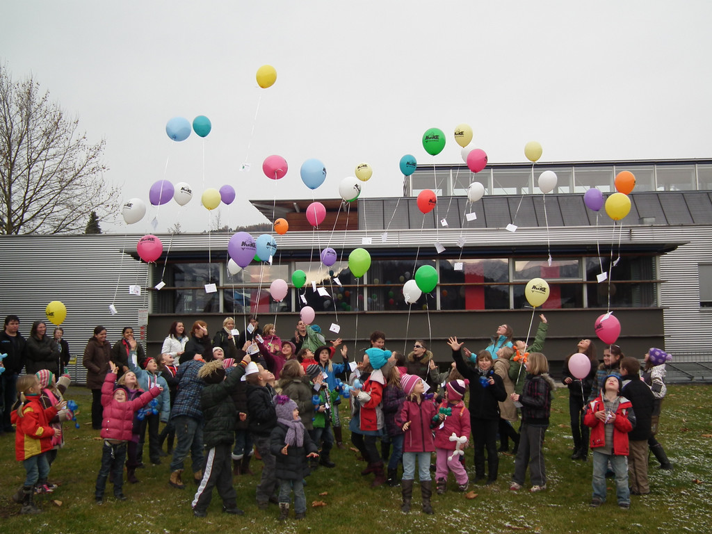 34_20101127_Ballone_1518.JPG