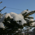 IMG_8082.JPG