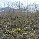 sm_gemeinde_hochwasser13.JPG