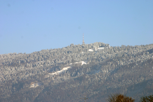 IMG_8189.JPG