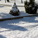 IMG_8207.JPG