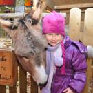 Krippe am Sparkassenplatz