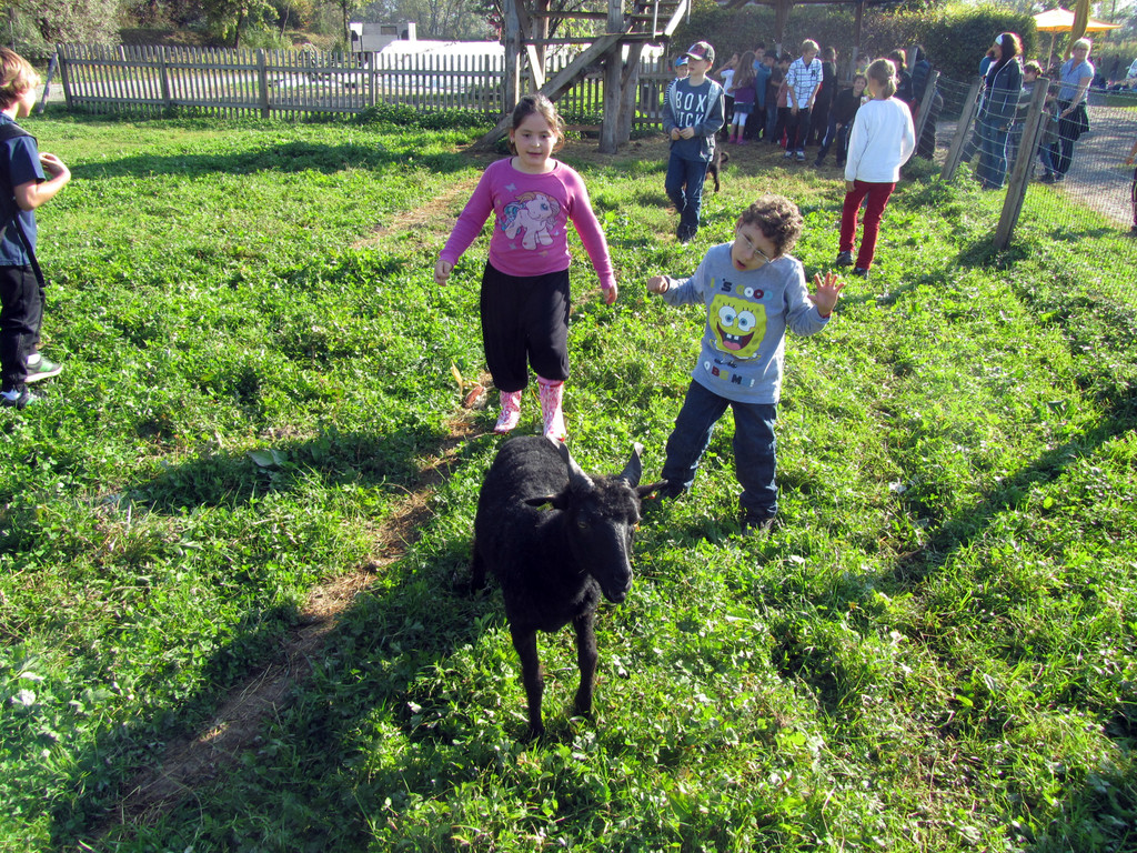 IMG_2105_JPG-1321921616