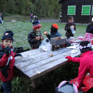 IMG_2332_JPG-1321922647