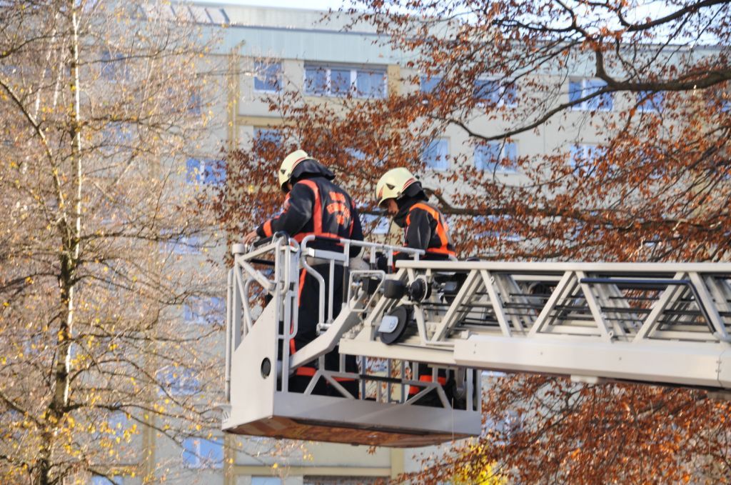 normal_21112011fsnpaktivnews_04.jpg