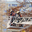 normal_21112011fsnpaktivnews_04.jpg