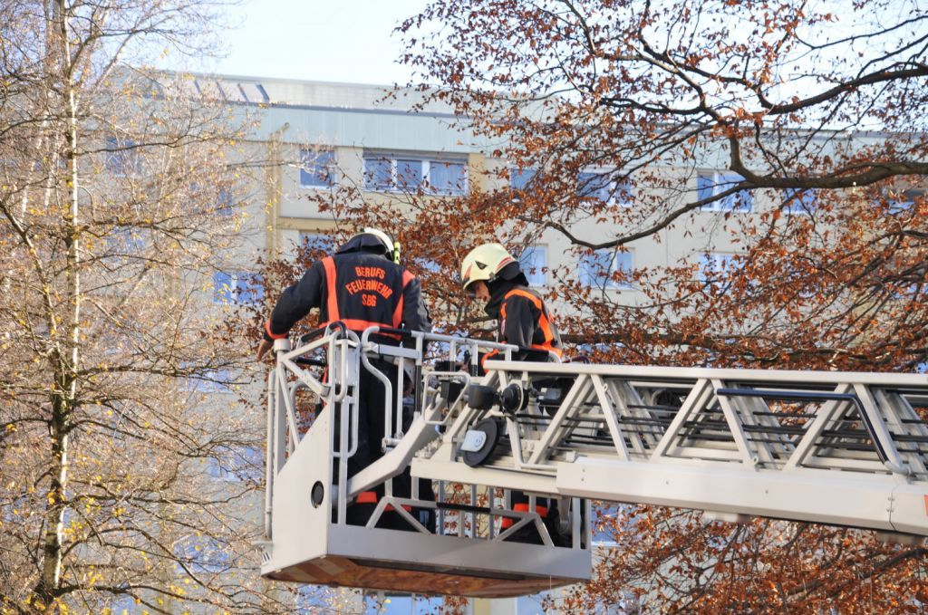 normal_21112011fsnpaktivnews_05.jpg