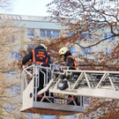normal_21112011fsnpaktivnews_05.jpg