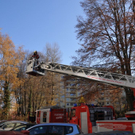 normal_21112011fsnpaktivnews_08.jpg
