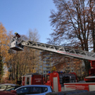 normal_21112011fsnpaktivnews_10.jpg