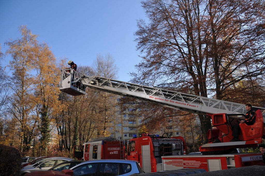 normal_21112011fsnpaktivnews_11.jpg