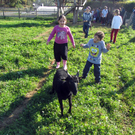 IMG_2105_JPG-1321946284