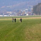 IMG_9725.jpg