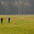 IMG_9770.jpg